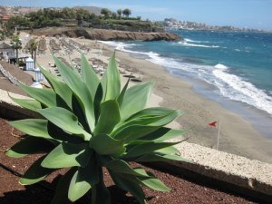 canarische eilanden tenerife strandvakantie 123