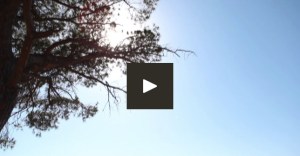 video costa blanca strandvakantie spanje