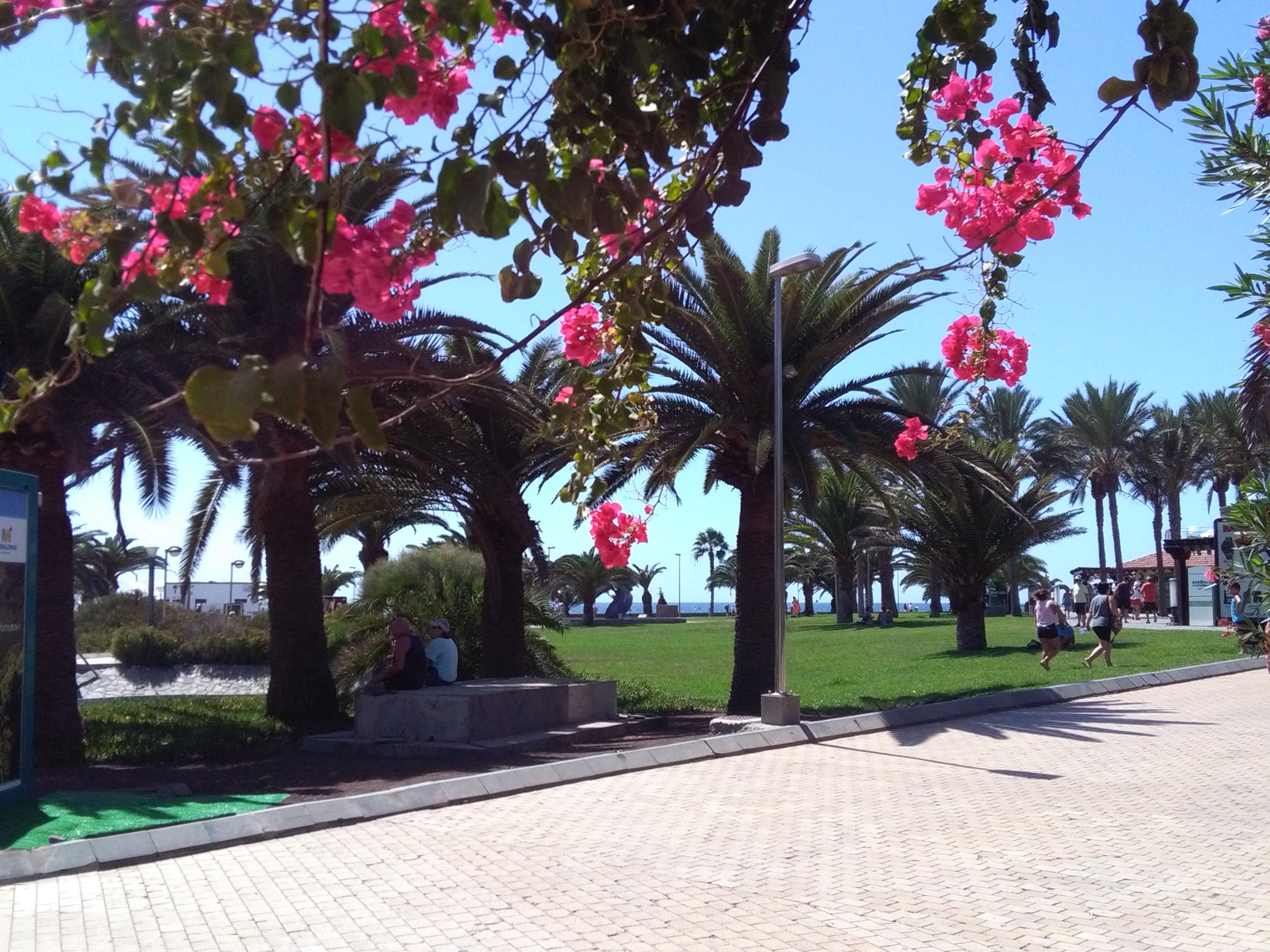 maspalomas gran canaria duinen strandvakantie spanje 16