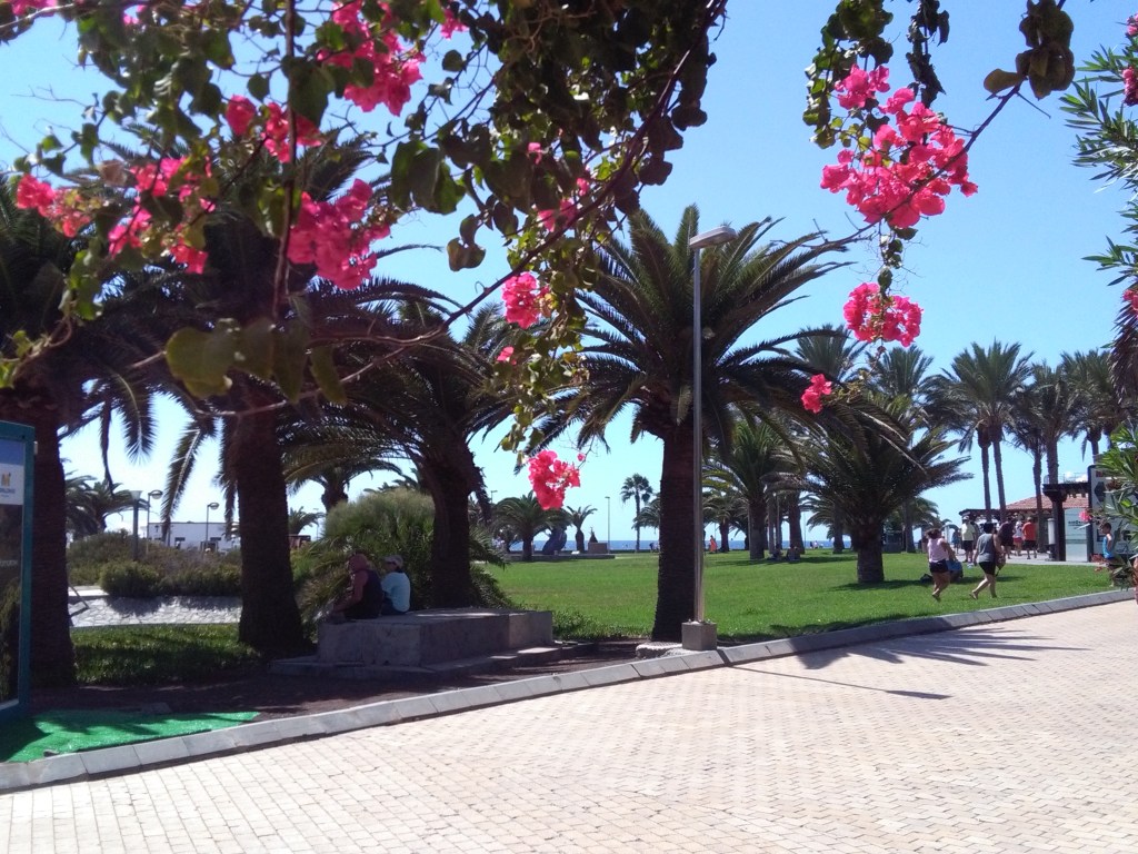 maspalomas gran canaria duinen strandvakantie spanje 16