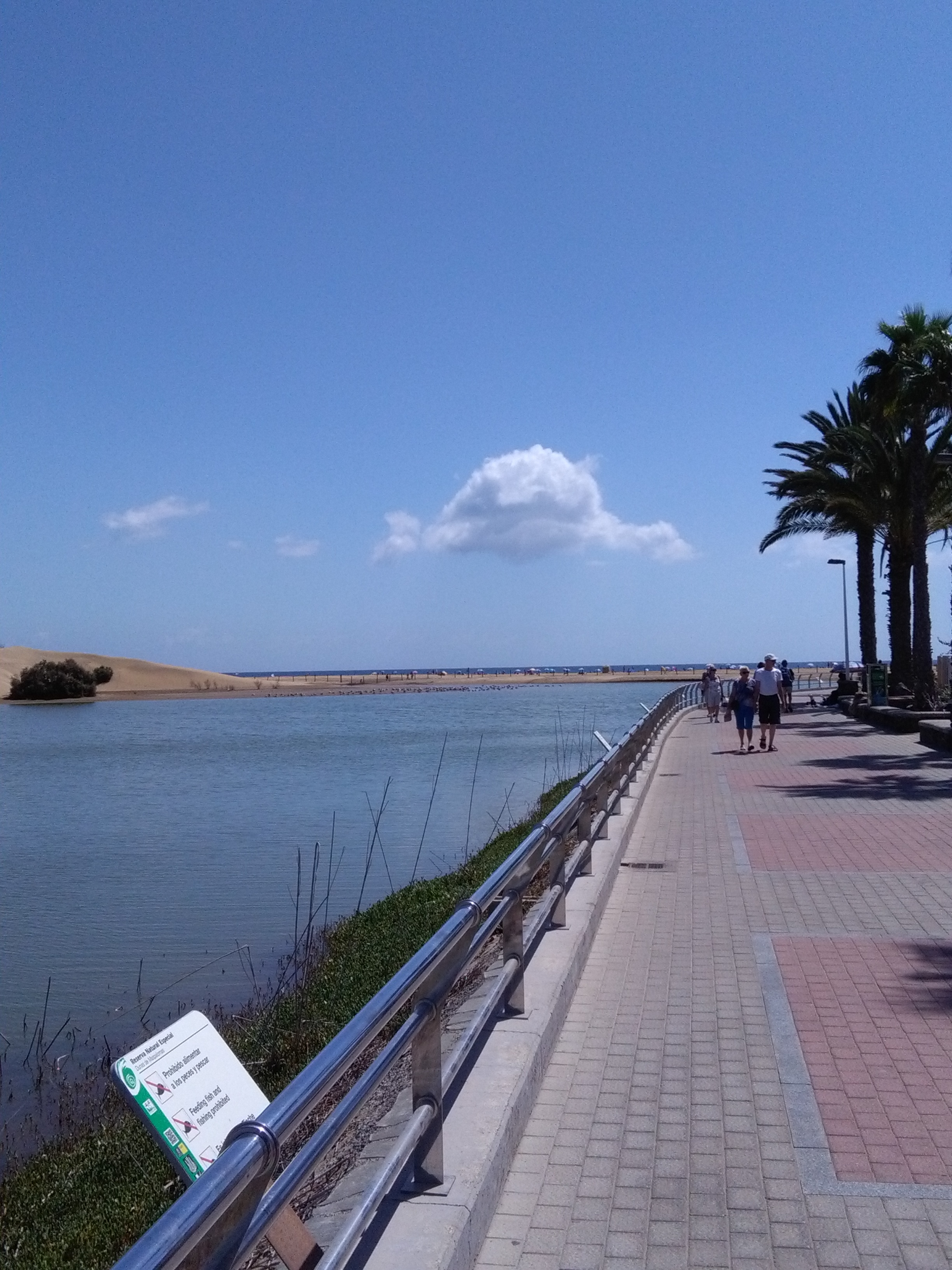 maspalomas gran canaria duinen strandvakantie spanje 4