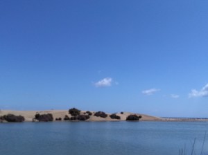 maspalomas gran canaria duinen strandvakantie spanje 6