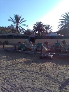 maspalomas gran canaria duinen strandvakantie spanje zee 1 kamelen