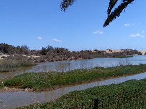 maspalomas gran canaria duinen strandvakantie spanje