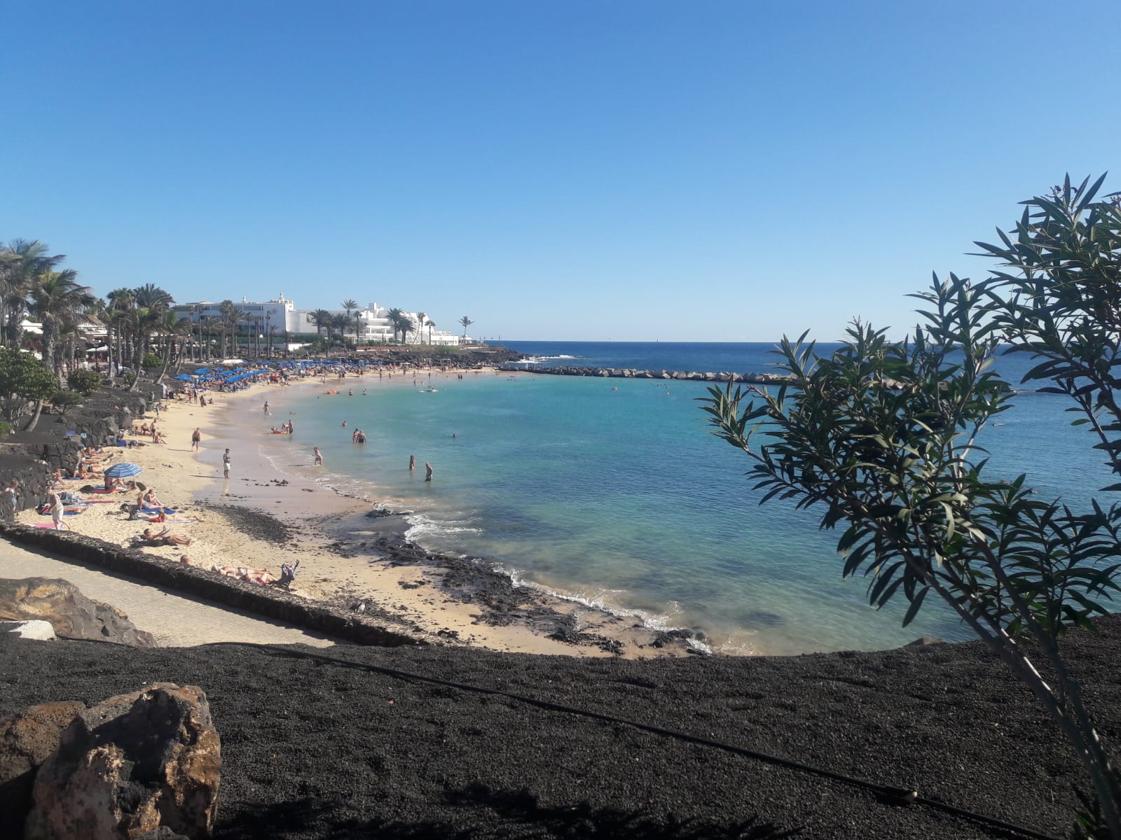 Playa Flamingo - lanzarote