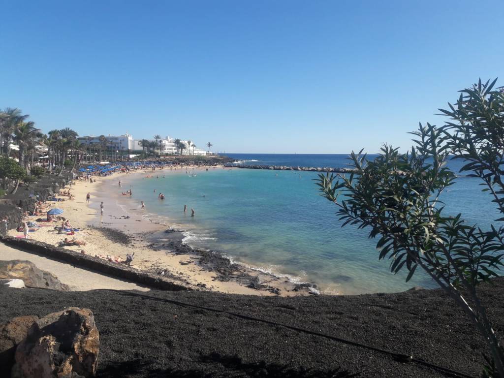 Playa Flamingo - lanzarote