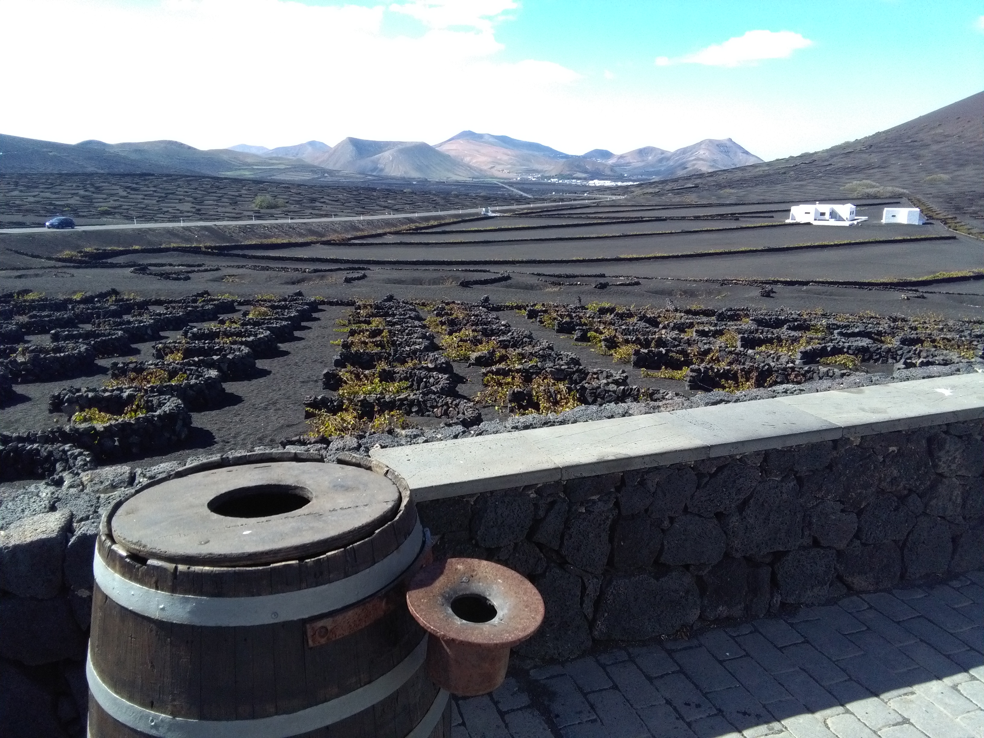 Wijngaard lanzarote druiven lava