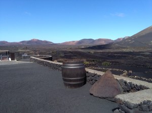 Wijngaard lanzarote druiven lava