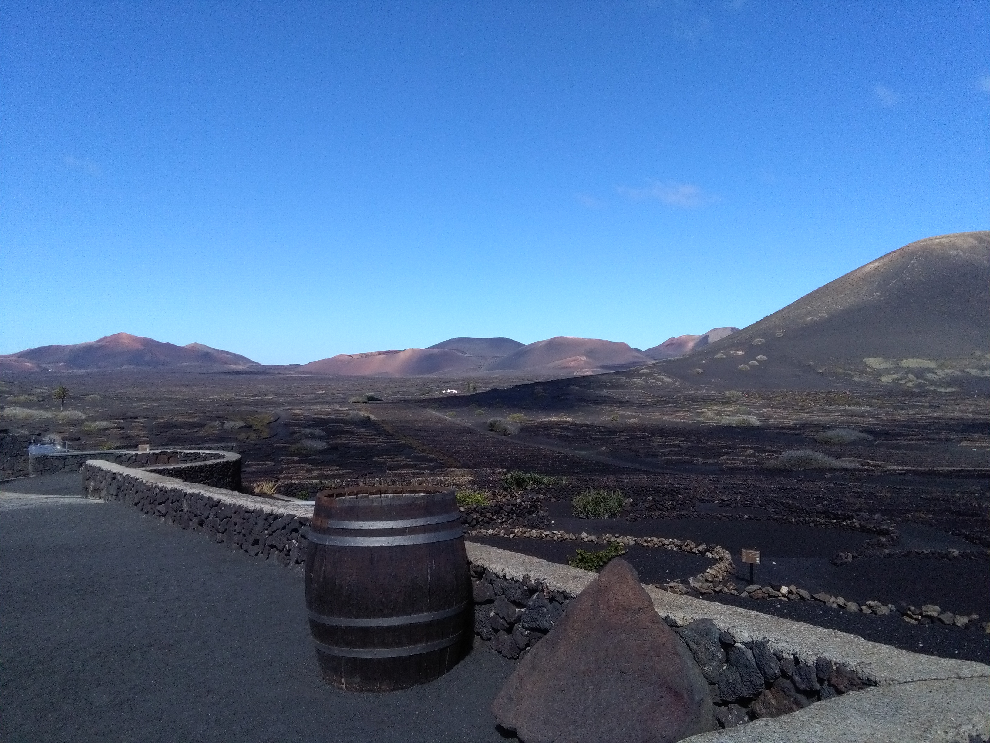 Wijngaard lanzarote druiven lava