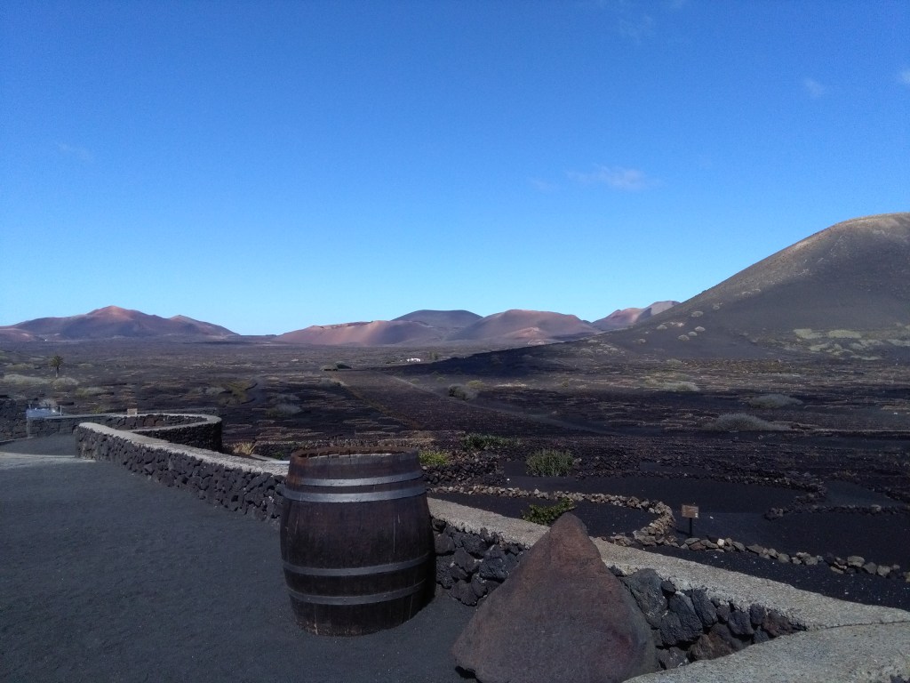 Wijngaard lanzarote druiven lava