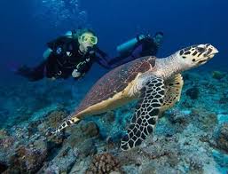 duiken en snorkelen aan de Costa Del Azahar, vakantie spanje