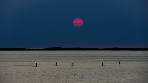 stand-up-paddle-suppen-op-vakantie-in-spanje