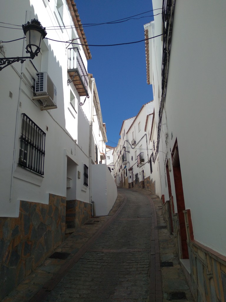 casares-is-een-mooi-dorpje-in-de-bergen-niet-ver-van-estepona-straten-1