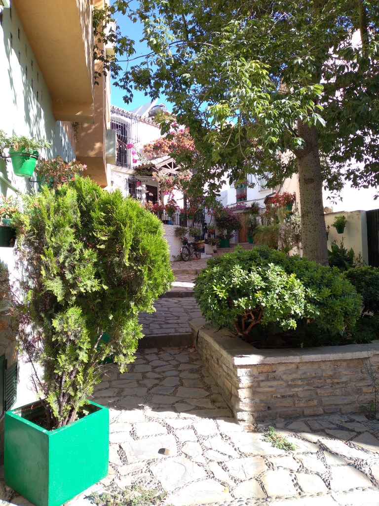 leuke-straatjes-en-pleintjes-in-estepona-met-veel-bloemen-vakantie-costa-del-sol-1