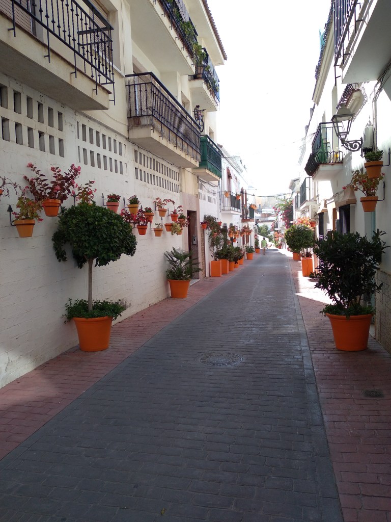 leuke-straatjes-en-pleintjes-in-estepona-met-veel-bloemen-vakantie-costa-del-sol-21-1