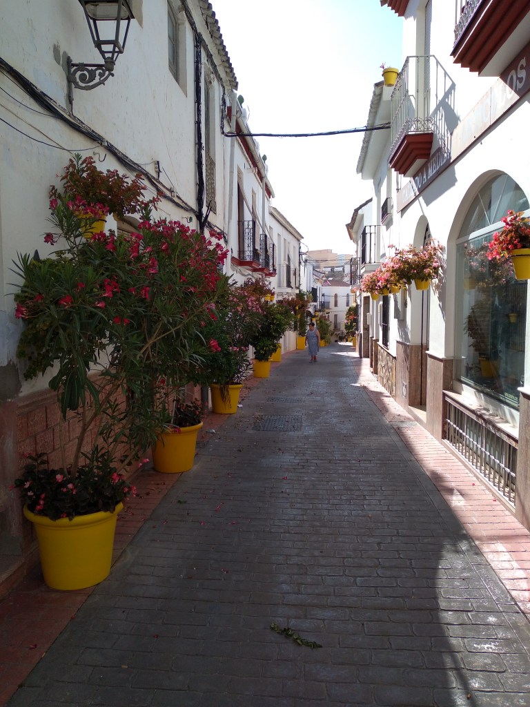 leuke-straatjes-en-pleintjes-in-estepona-met-veel-bloemen-vakantie-costa-del-sol-6yh-1