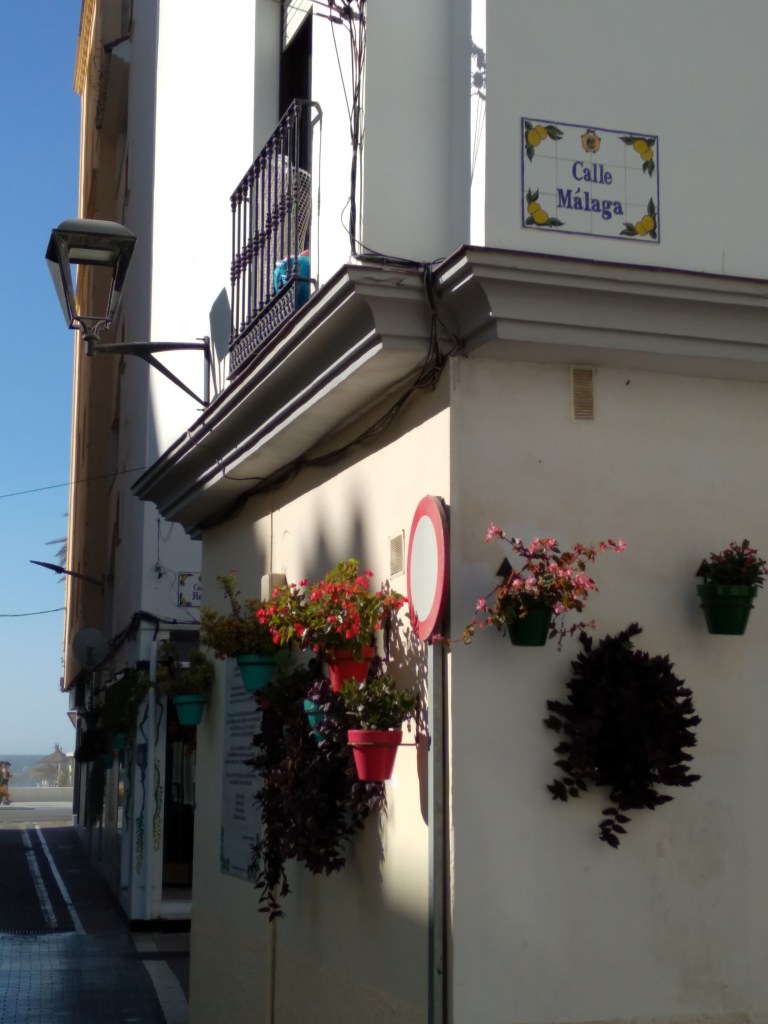 leuke-straatjes-in-estepona-met-veel-bloemen-vakantie-costa-del-sol-3-1